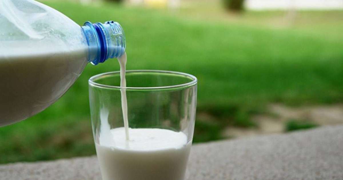 Сүт адам денсаулығына қауіп төндірмеу үшін не істеу керек?