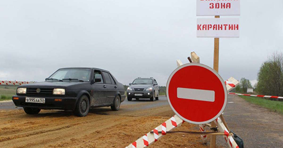 Жамбыл облысында сібір жарасына байланысты неге карантин жарияланбайды