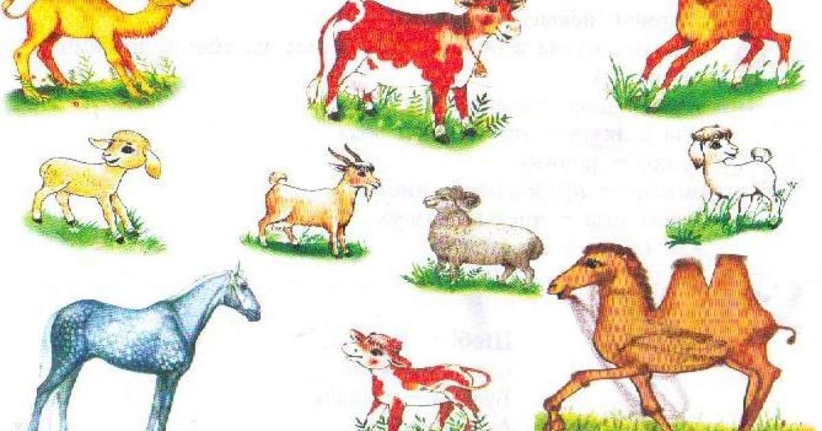 Үйдегі жасырын камера порно видео