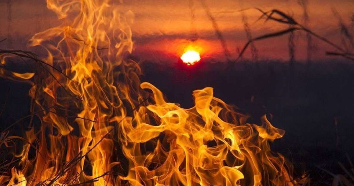 北哈州温度将直达33℃ 林火危险性增高