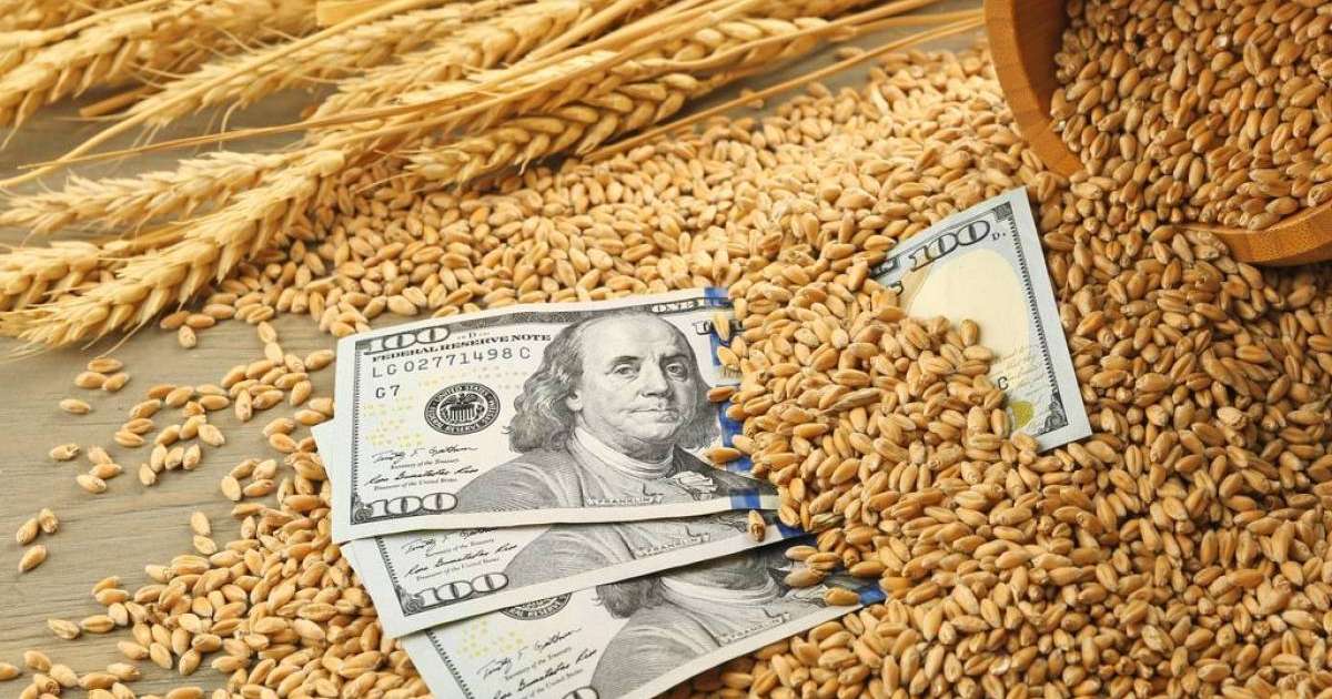 Ресейде астық үзілістері басталды