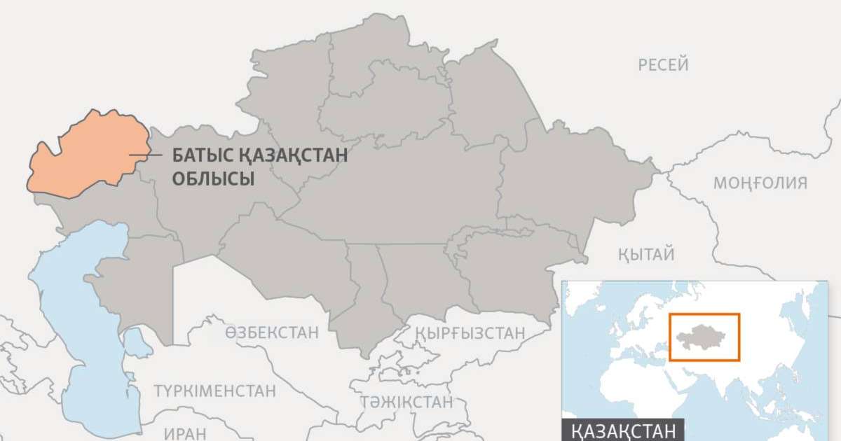 БҚО-да мүйізі кесілген ондаған киіктің өлігі табылды