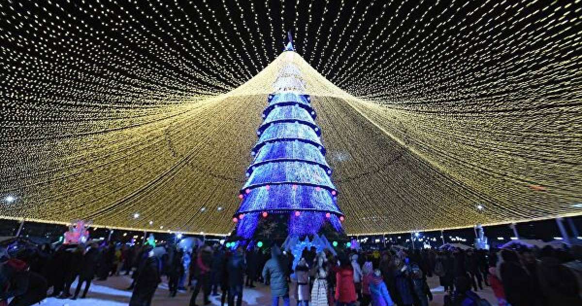 Шымкент әкімі шыршаға деп 35 млн бөлдірген