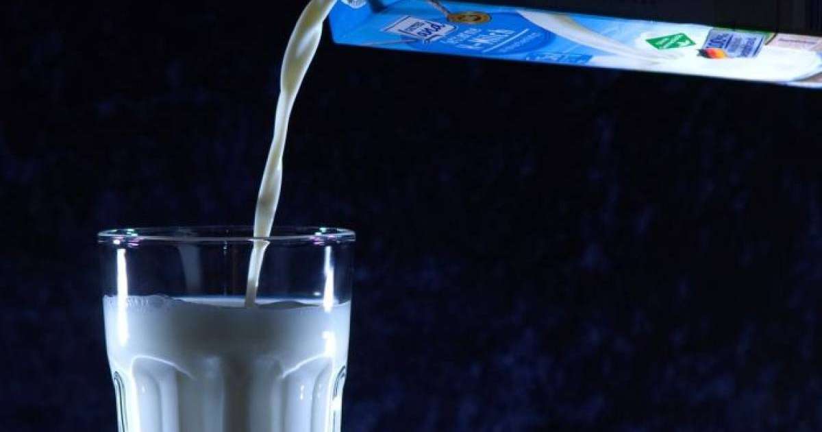 Зенченко сүтінде қауіпті бактерия табылды