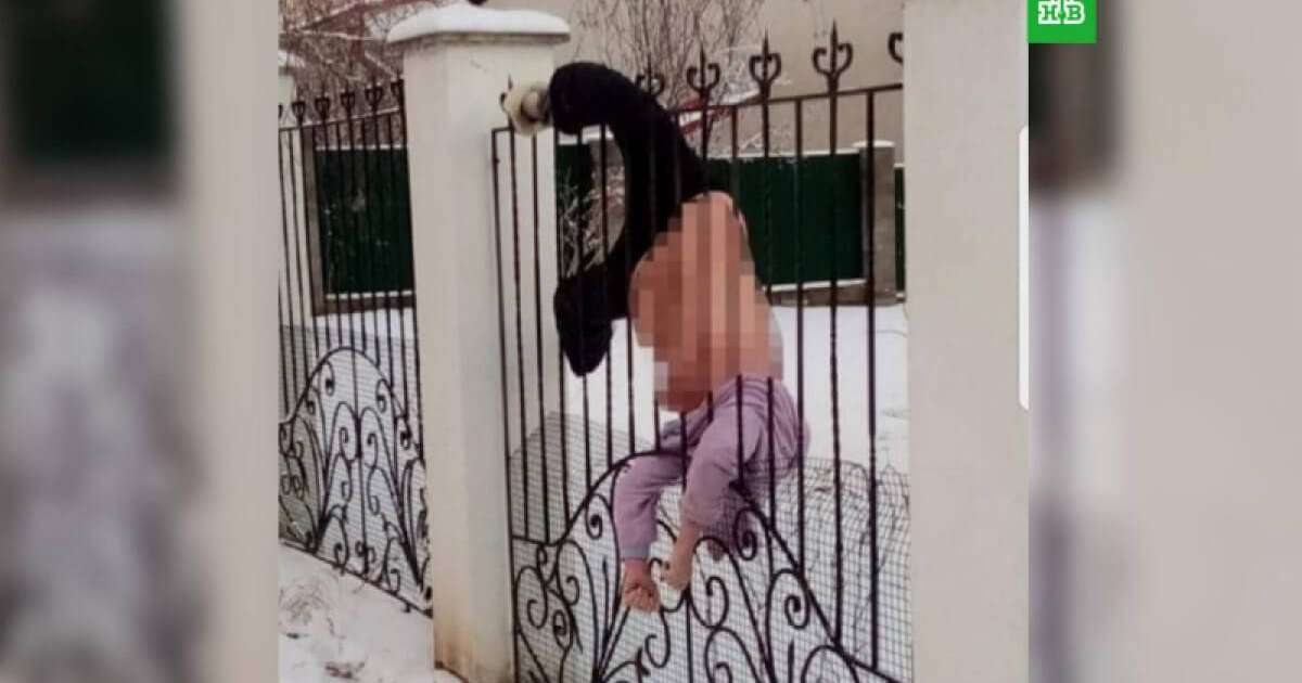 Ешкім көмекке келмеген: Қоршаудан асып өтпек болған әйел үсіп өлді