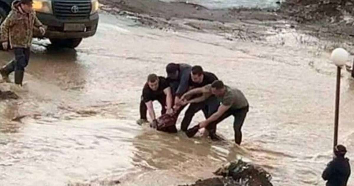 Ақтөбеде арыққа құлап, ағып кете жаздаған қызды құтқарғандар марапатталды