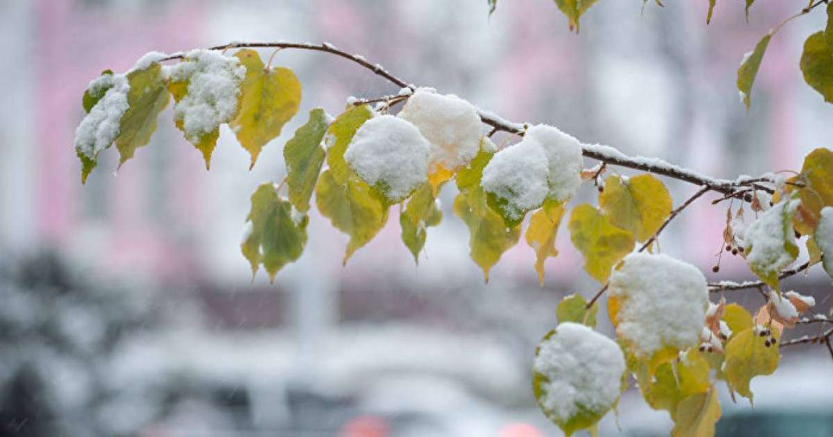 Қазақстанның үш облысында дабылды ескерту жарияланды