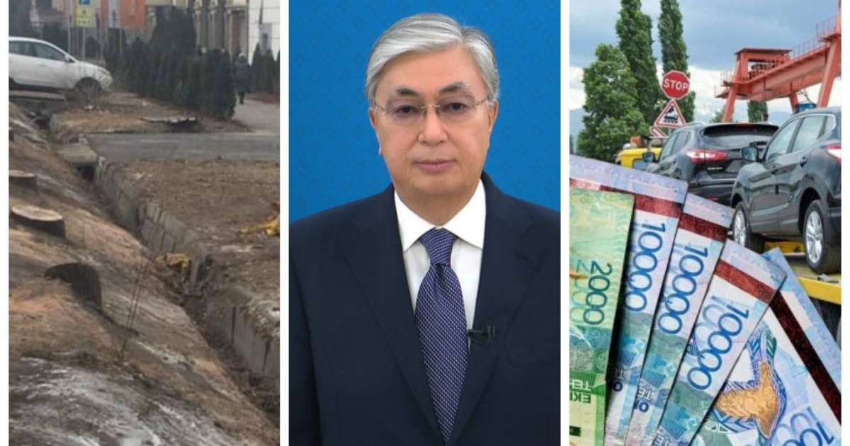 13 ағаш VS 40 мың адам: Тоқаев халықтың үні болған Петицияға жауап бере ме?