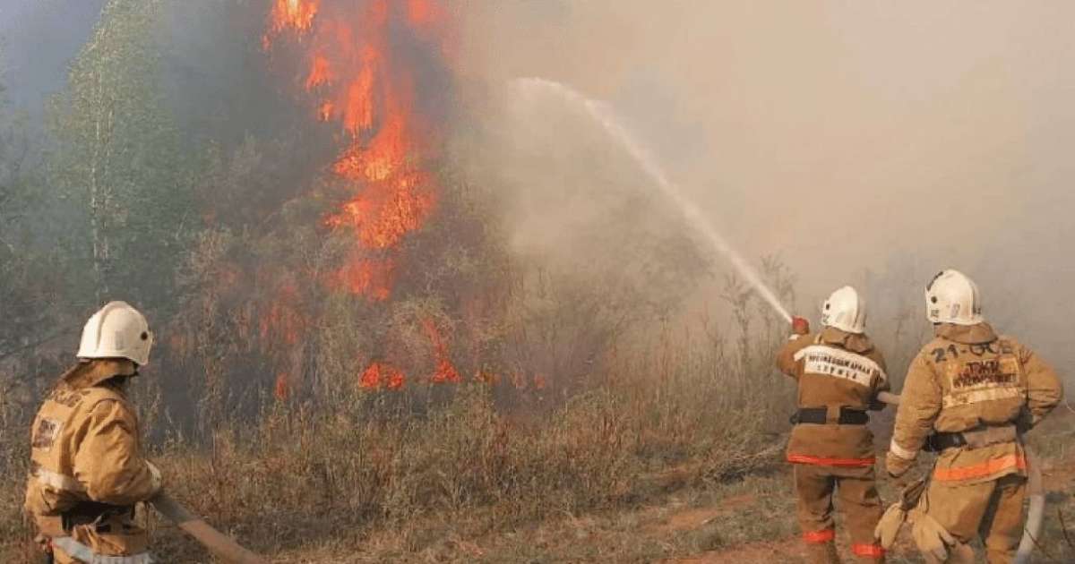 Абай облысында орман өртенді: Шипажайға қауіп төнді