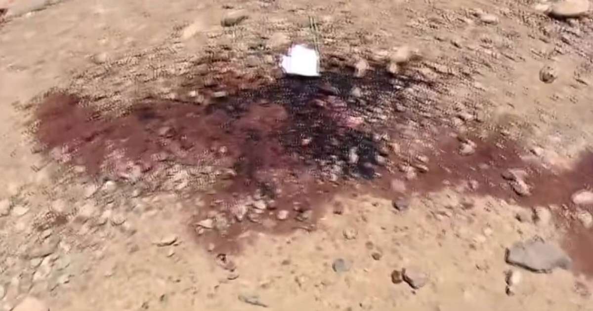 Оқиға орнынан қан іздері табылды: Апорт қасынан өлі табылған ер адамның кім екені анықталды