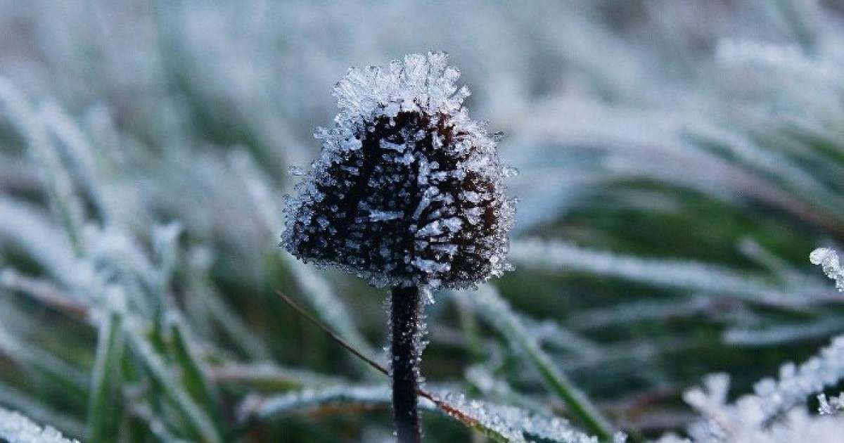 Ауа райы болжамы: 3, 4, 5 қыркүйек