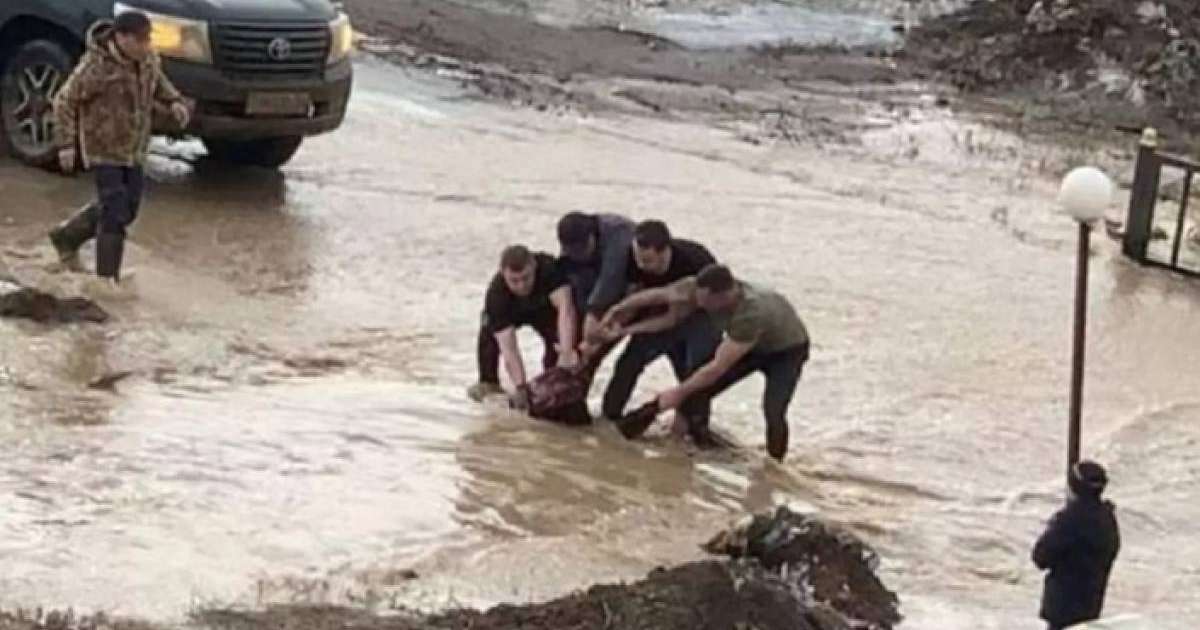 Ақтөбеде суға толы арықта батып бара жатқан қызды бірнеше ер адам құтқарып қалды (видео)