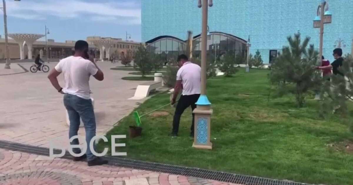 Түркістанда көгалды жасылға бояп жатқандар желіні шулатты (видео)