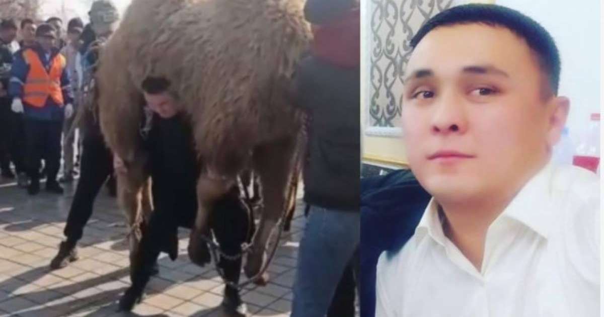 Спортшы емес. Талдықорғанда 280 келі түйе көтерген ер адам кім?