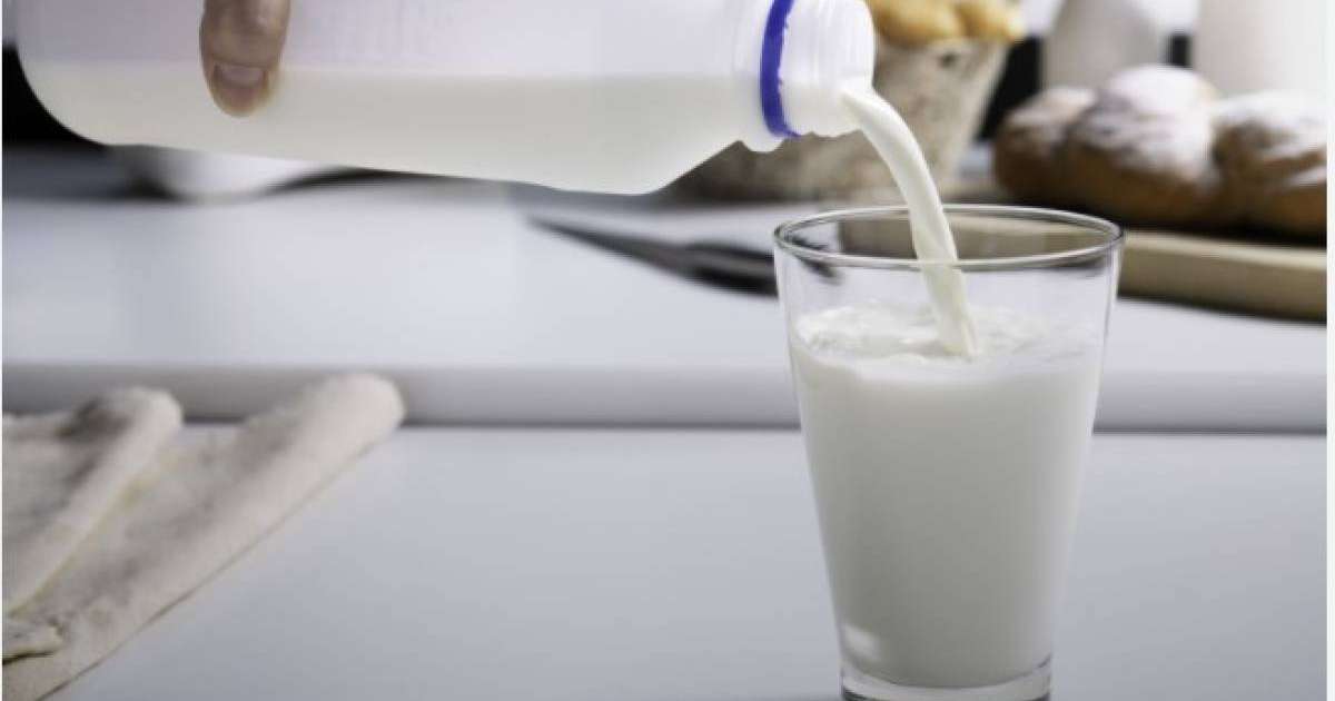 14 миллион теңгеге бір литр сүт: Қызылорда облысында ерекше тендер анықталды