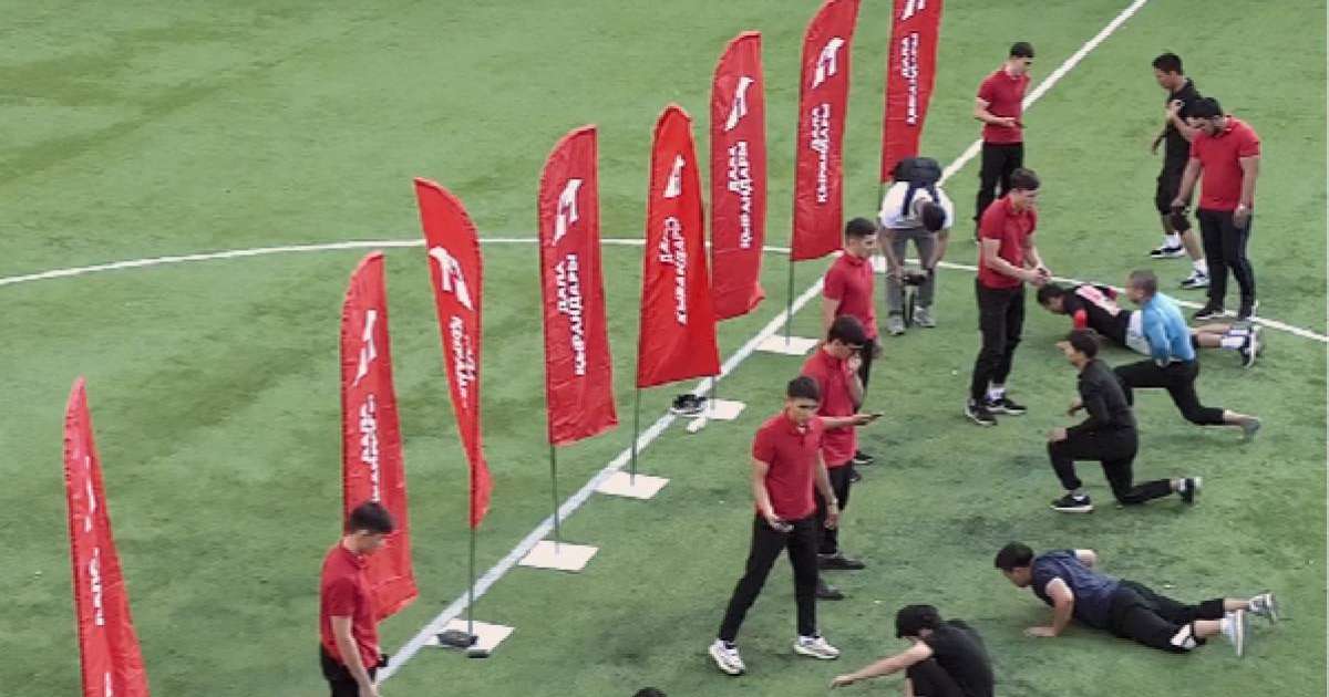 Павлодар қаласында алғашқы ресми қырандар пайда болды