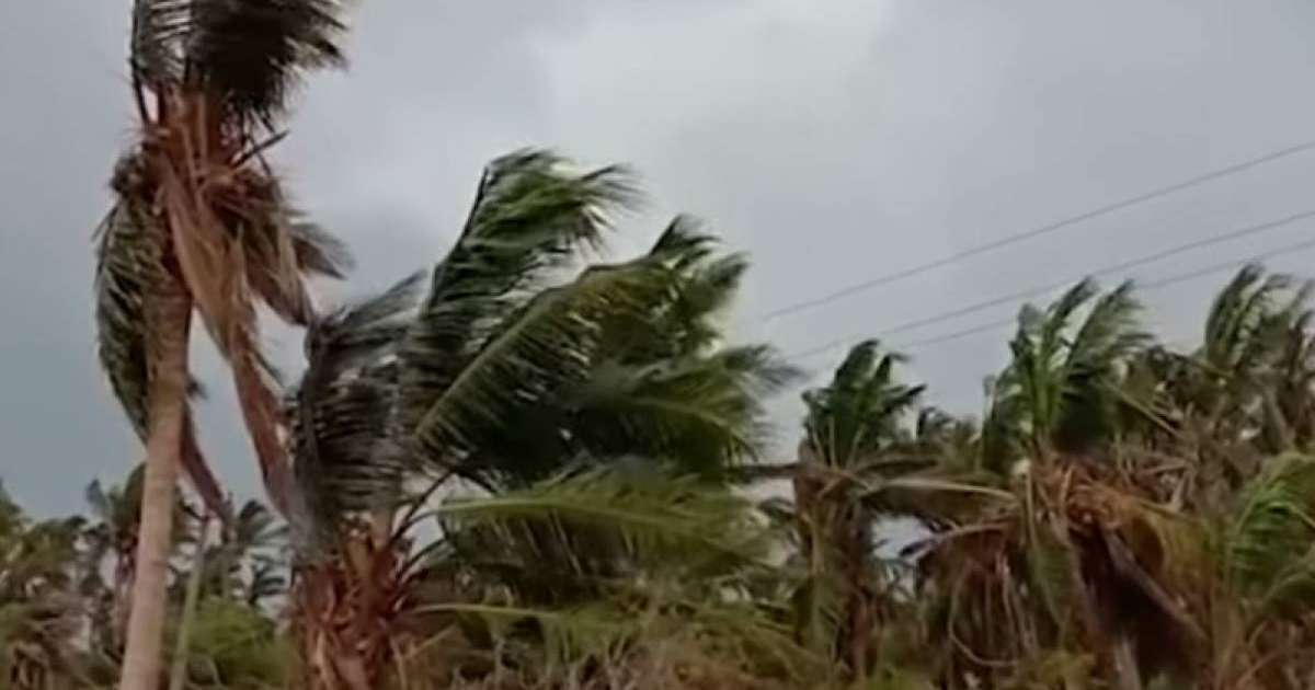 “法尼”热带气旋登陆在即 印度紧急疏散约80万人