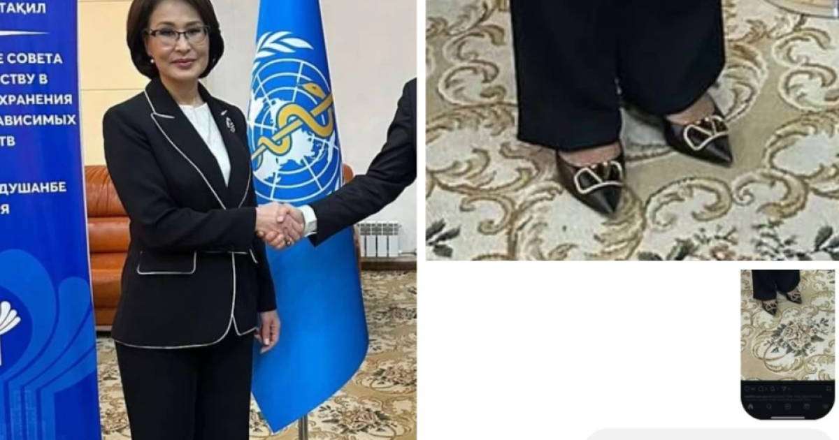 "Туфлиі 510 мың теңге, Lexus-пен тек ақылы клиникаға барады": Министр Әлназарова тағы да ел назарында