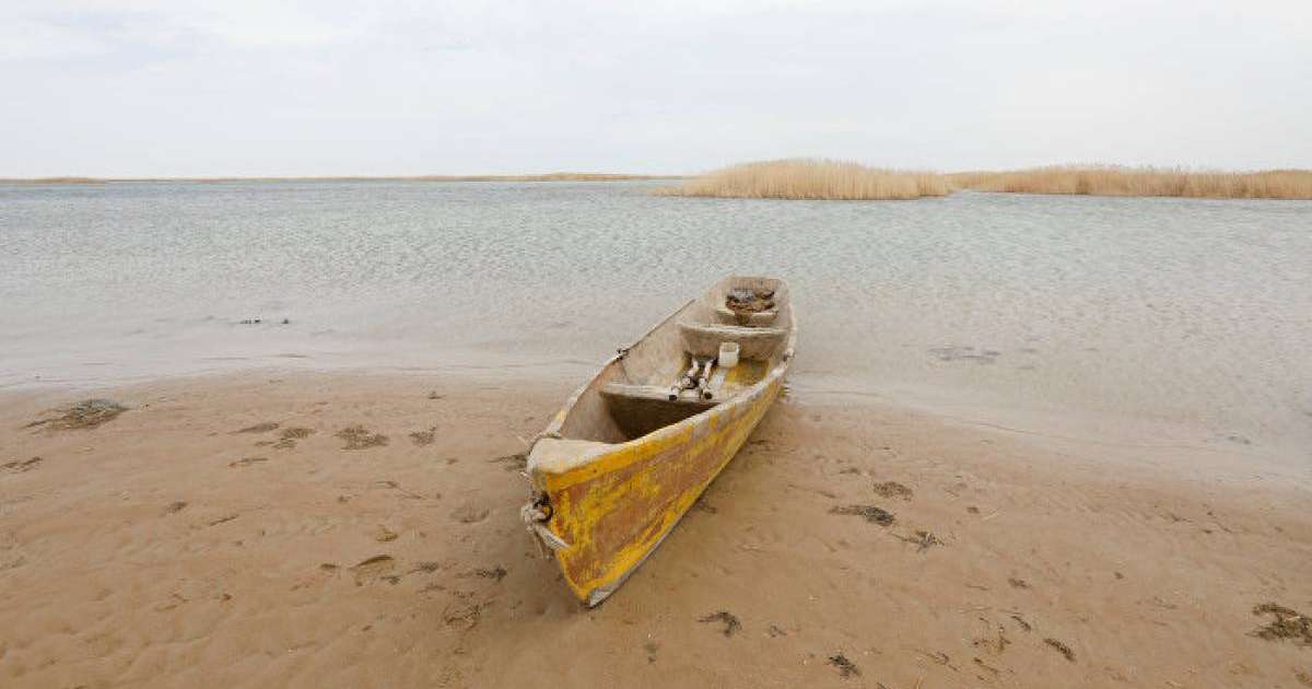 Аралдың төңірегіндегі халықтың тұрмысы жақсарды