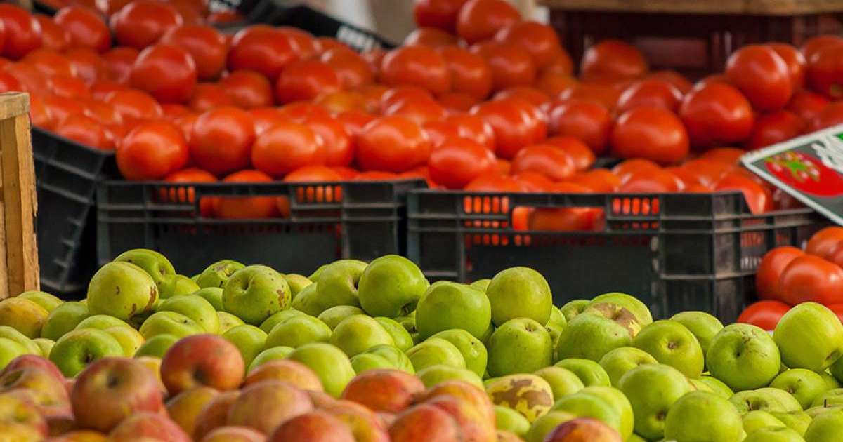 哈萨克斯坦蔬菜和水果价格下降