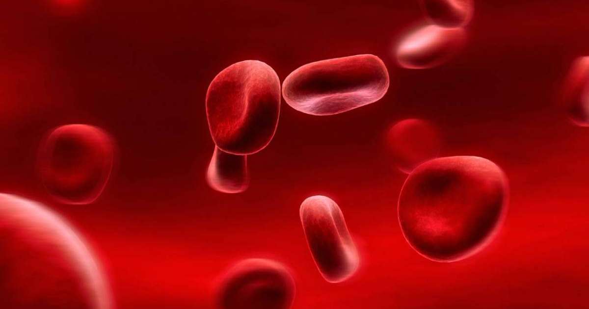 Ғалымдар қауіпті аурулар мен қан тобы арасындағы байланысты анықтады