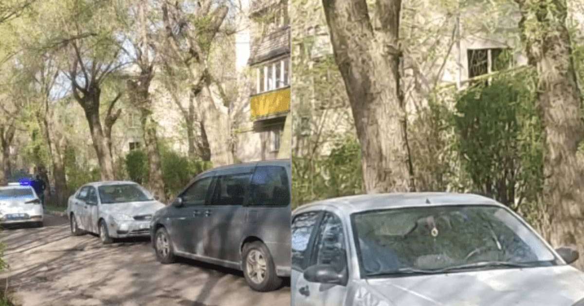 Алматыда ер адам үйінің терезесінен оқ жаудырды
