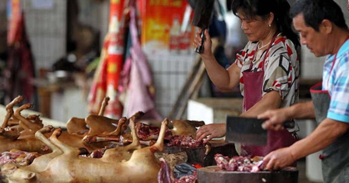 Уханьда шетелден келген ет пен балықтан коронавирус анықталды