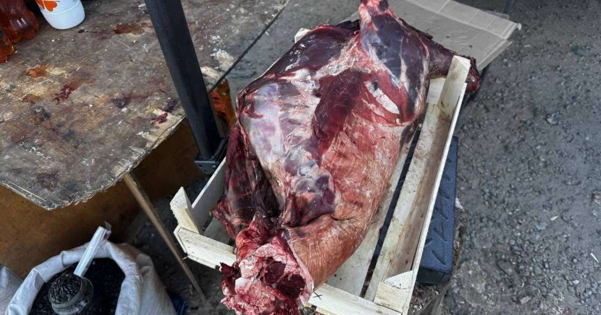 Келісі – 2000 теңге: Еліміздің батысында киік еті сатыла бастады