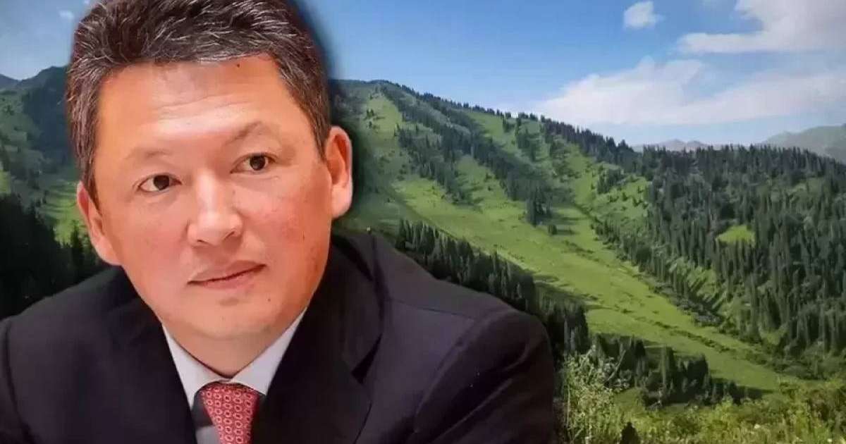 Құлыбаевтардың заңсыз жерлері мемлекетке қайтарылды