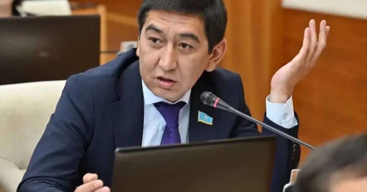 Депутат Ринат Зайытов Болат Назарбаевтың ұлының мүлкін тексеруді талап етті