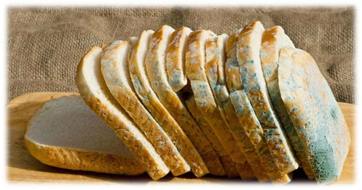 Врач рассказала, что будет, если случайно съесть продукт с плесенью