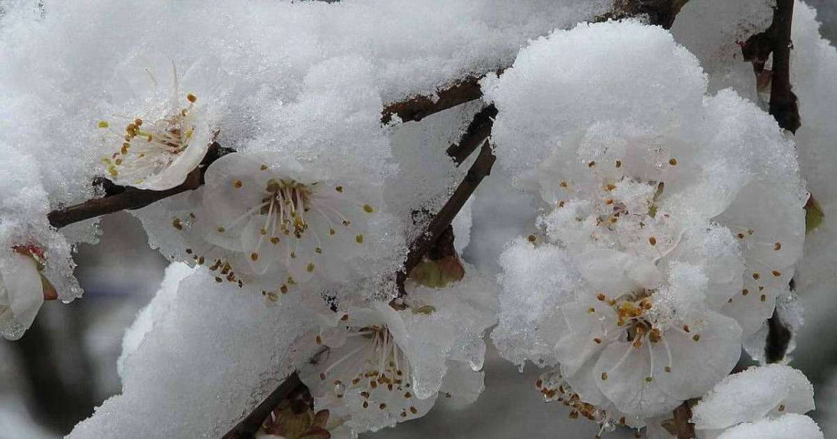 Морозы до 12 градусов придут в Казахстан