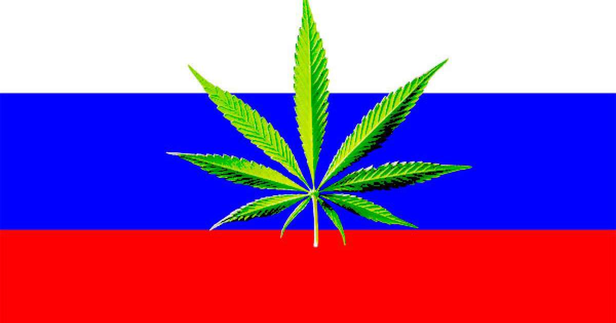 Марихуана Ресейді құртады – Путин