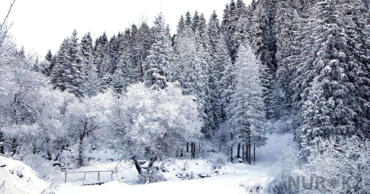 Қыс мезгілінде тауда серуендеудің қандай артықшылықтары бар