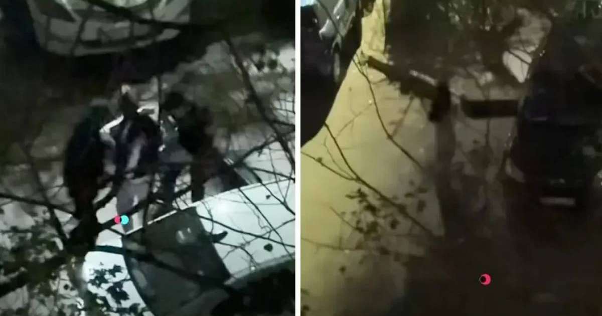 Алматыда жігіттер түнгі уақытта бойжеткенді күштеп, көлігімен алып кетпек болды