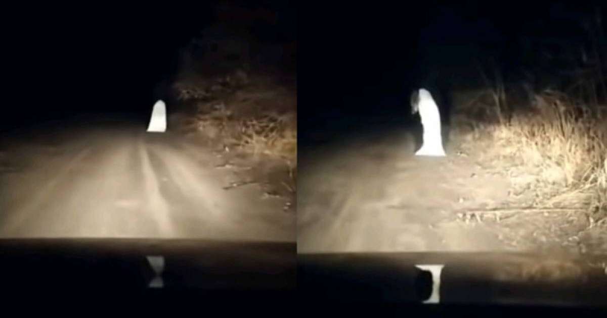 "Пісміллә дегенді айта алмай қалдым. Өзі әдеміше келген сары қыз": БҚО-да елеспен бетпе-бет келген тұрғын