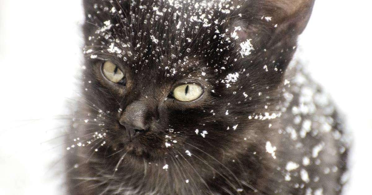 16 қарашаға арналған ауа райы болжамы