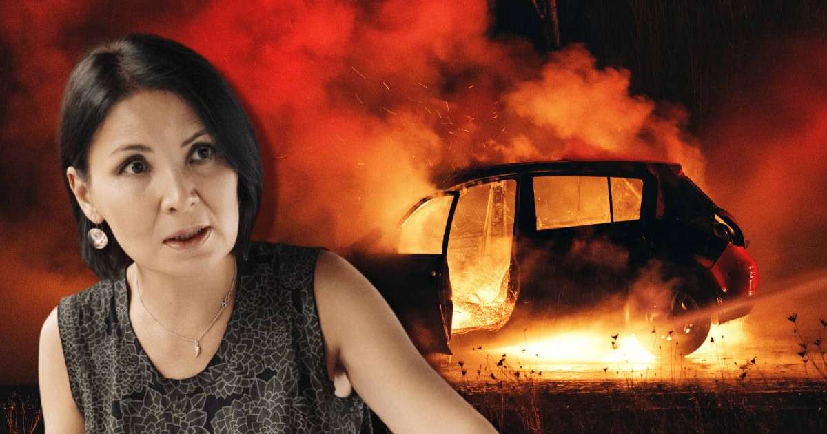 "Динара Егеубаева" жобасы Батыстың мүддесі үшін түрлі-түсті революцияны ұйымдастырушы ретінде