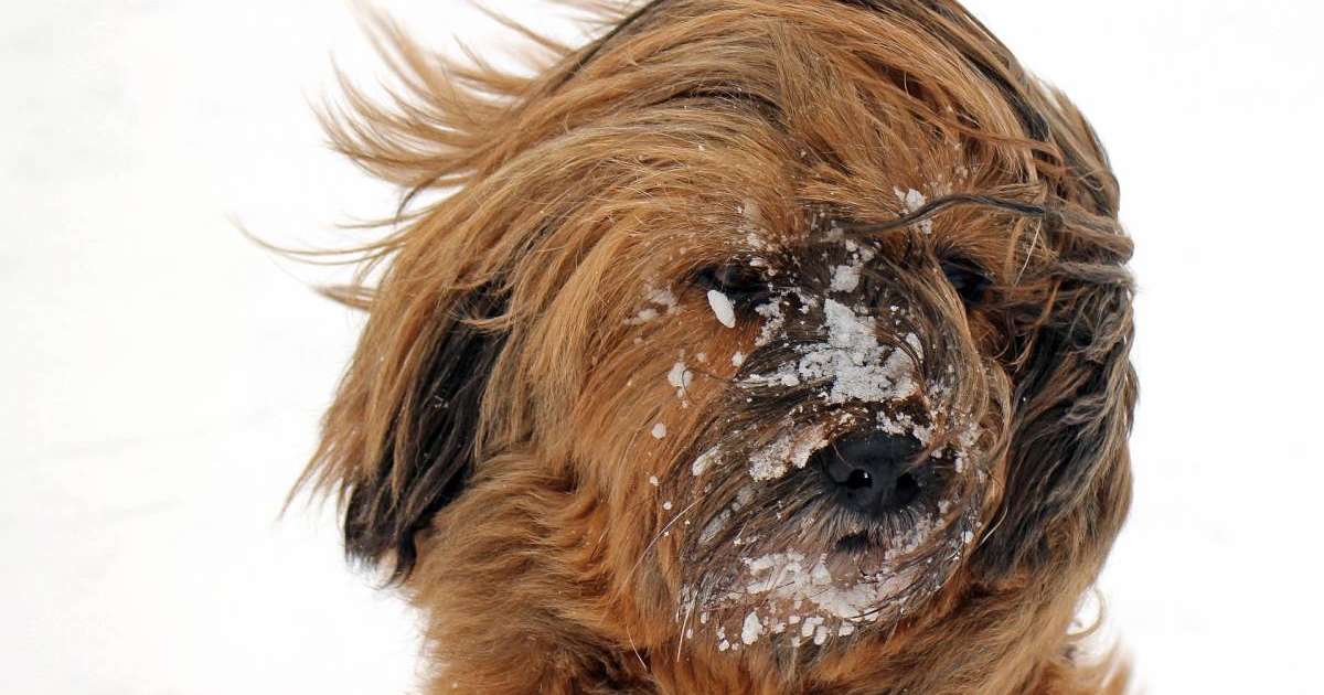 Көктайғақ болып, бұрқасын соғады: 13 қарашаға арналған ауа райы болжамы