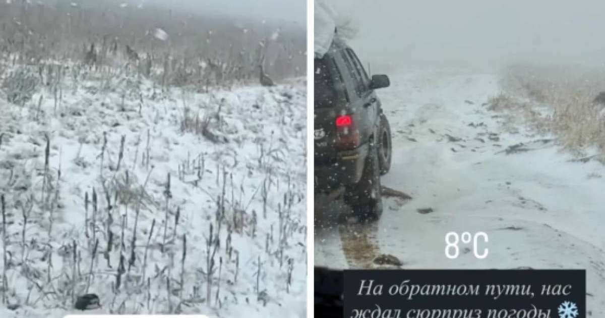 "Кеше ғана жаз еді": Шығыс Қазақстан облысында қар жауды