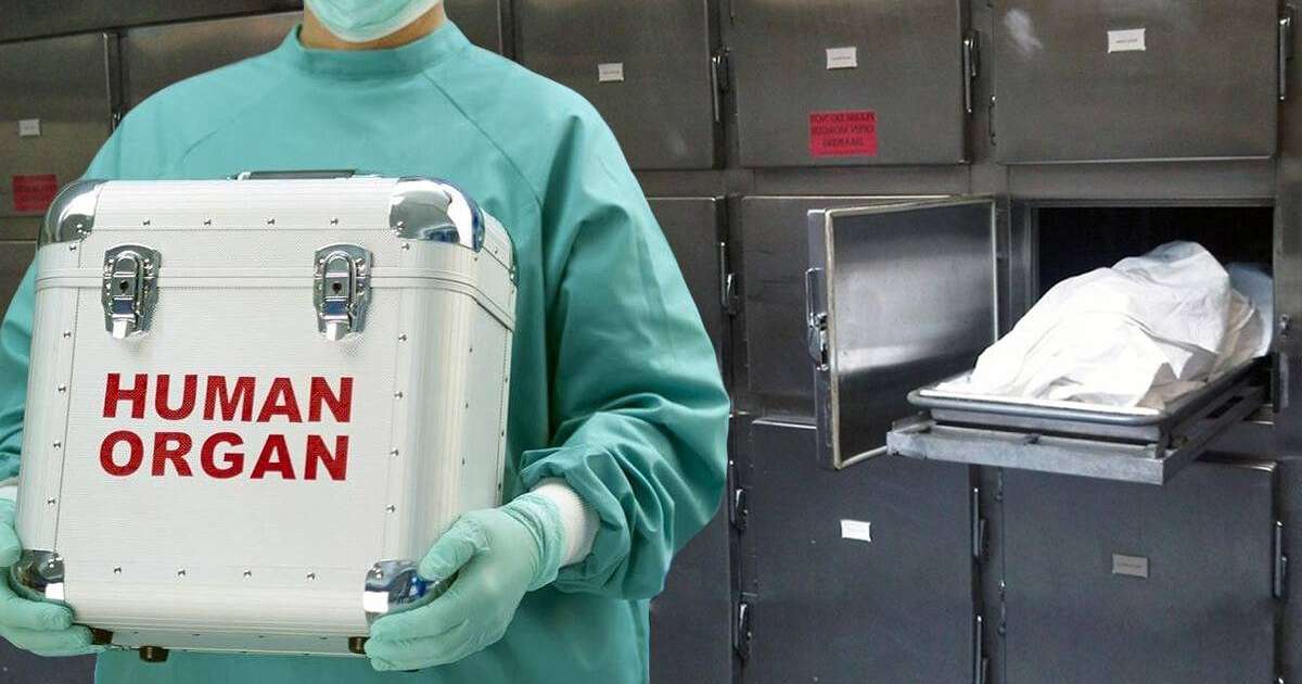 Мәйітханаларда адам ағзасы алынатыны рас па?