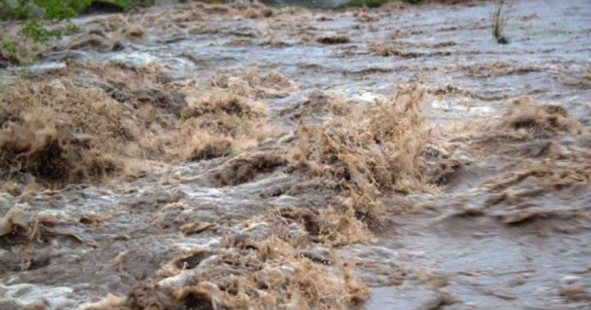 Жамбыл мен Алматы облыстарында су тасқынына қарсы жұмыс жүргізілді - ТЖМ