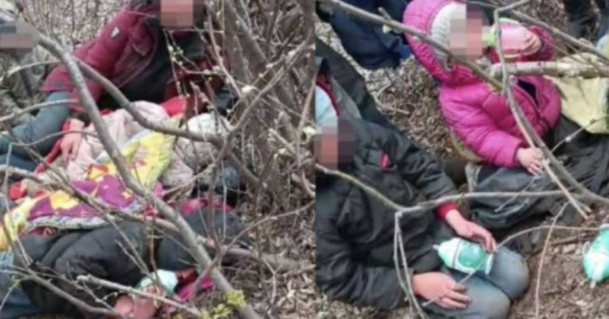 "Рас айтамын, бұл - менің балаларым". Орманнан табылған отбасыға қатысты жаңа дерек айтылды