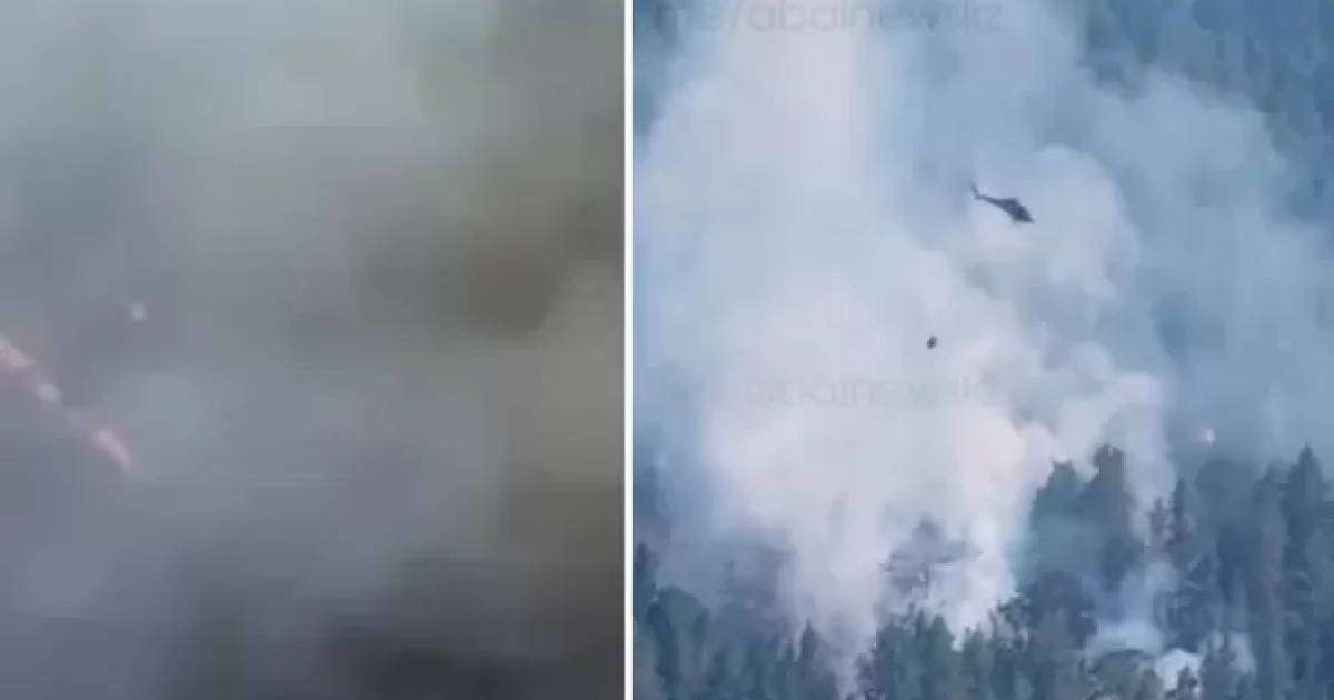 Абай облысында орман өртенді