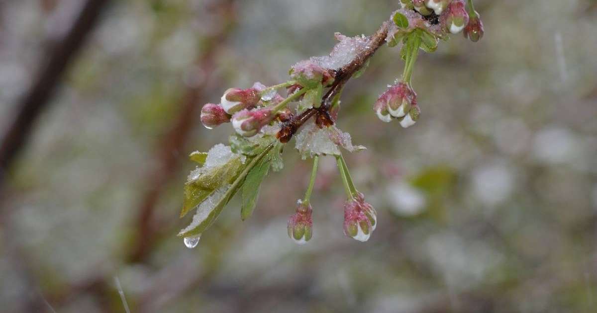 Жаңбыр мен қар аралас жауады. Алдағы үш күнге ауа райы болжамы