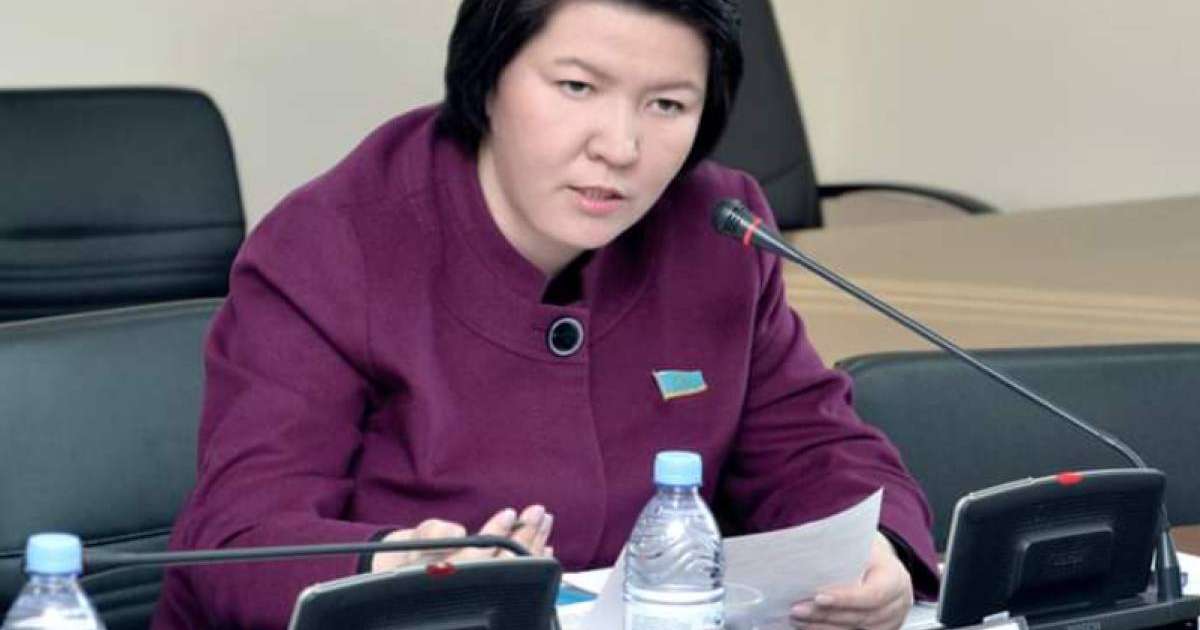 "Жаңа Қазақстан" депутаттық тобы «Самұрық-Қазына» Ұлттық әл-ауқат Қорының Басқармасымен кездесті