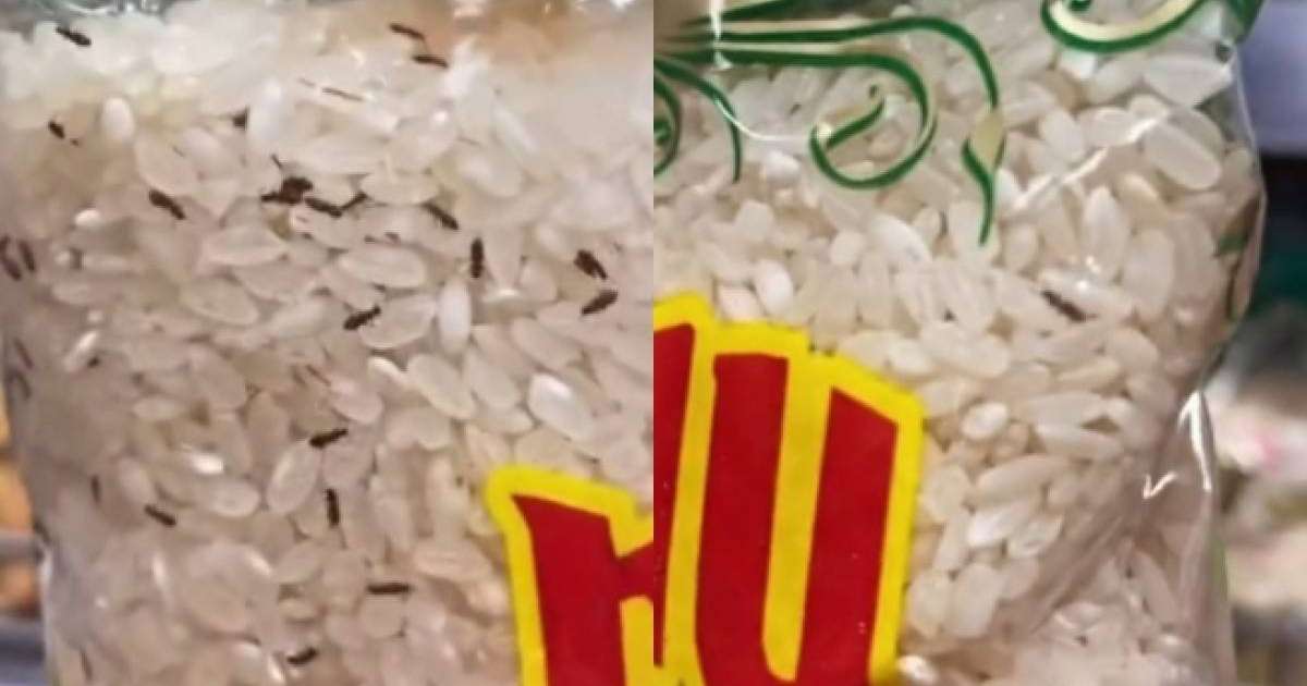 Magnum дүкеніндегі күріштерде құрттар қаптап жүр