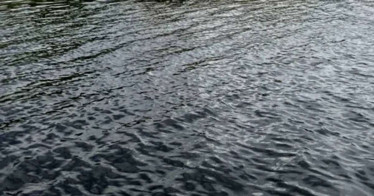 Атырауда Жайықтан белгісіз біреудің мәйіті табылды