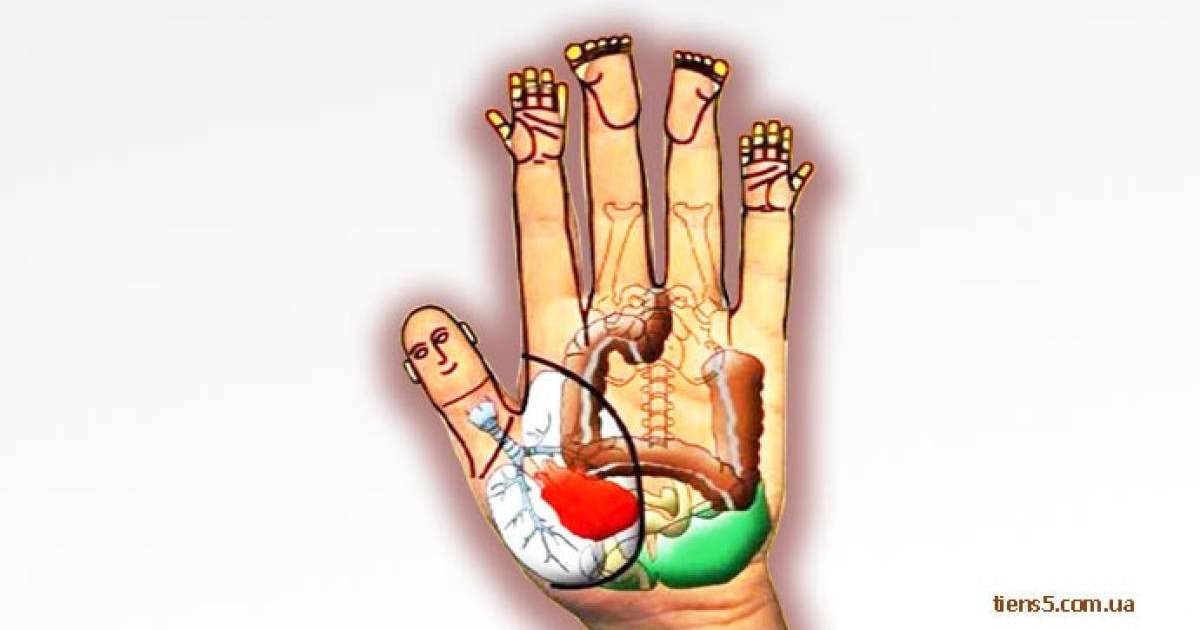 Алақанға қарап ауруды анықтауға болады