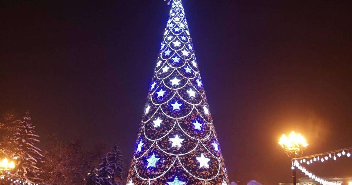 Семей әкімдігі шыршаларды 23 миллион теңгеге сатып алған